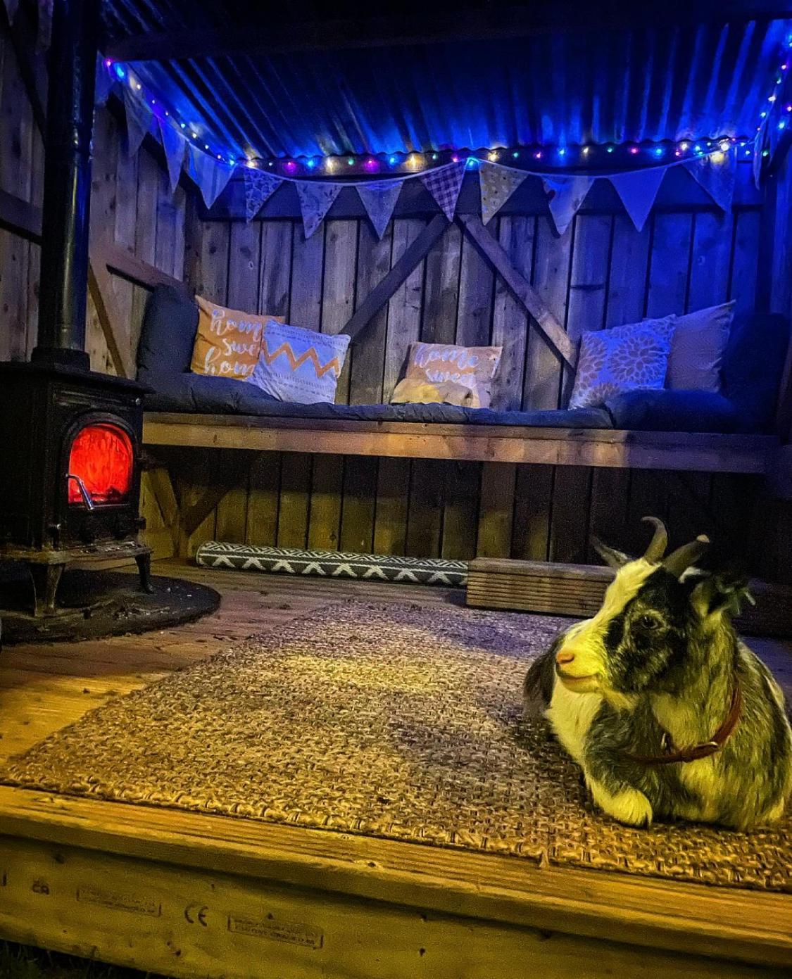 North Yorkshire Horse Box Otel Dış mekan fotoğraf