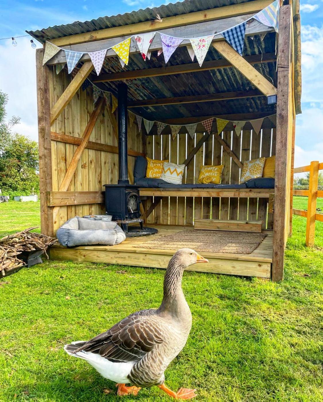North Yorkshire Horse Box Otel Dış mekan fotoğraf